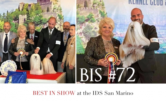 IDS San Marino, 24.05.19 - I'm a Dream Chihuahua